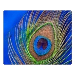 Blue Peacock Feather Two Sides Premium Plush Fleece Blanket (large) by Amaryn4rt