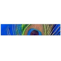 Blue Peacock Feather Large Premium Plush Fleece Scarf 