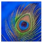 Blue Peacock Feather Square Satin Scarf (36  x 36 ) Front