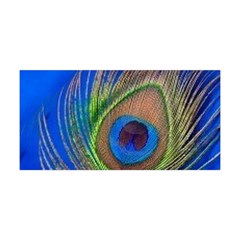 Blue Peacock Feather Yoga Headband by Amaryn4rt