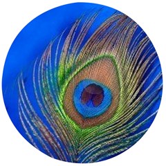 Blue Peacock Feather Wooden Bottle Opener (Round)