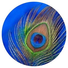 Blue Peacock Feather Round Trivet