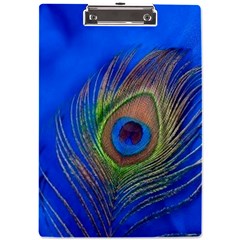 Blue Peacock Feather A4 Acrylic Clipboard