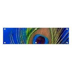 Blue Peacock Feather Banner And Sign 4  X 1  by Amaryn4rt