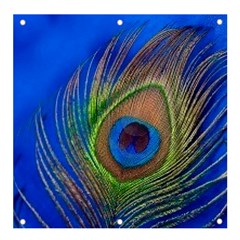 Blue Peacock Feather Banner And Sign 4  X 4  by Amaryn4rt