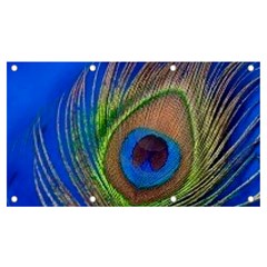 Blue Peacock Feather Banner And Sign 7  X 4  by Amaryn4rt