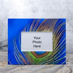 Blue Peacock Feather White Tabletop Photo Frame 4 x6  by Amaryn4rt