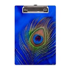 Blue Peacock Feather A5 Acrylic Clipboard