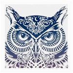 Owl Medium Glasses Cloth Front