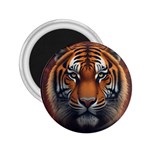 Tiger Animal Feline Predator Portrait Carnivorous 2.25  Magnets Front