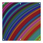 Multicolored Stripe Curve Striped Background Banner and Sign 3  x 3  Front