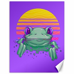 Frog Animal Sun Amphibian Figure Digital Art Canvas 12  X 16  by Wegoenart