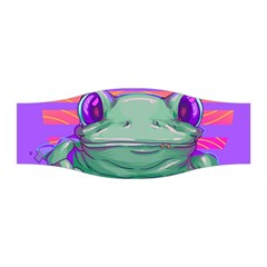 Frog Animal Sun Amphibian Figure Digital Art Stretchable Headband by Wegoenart