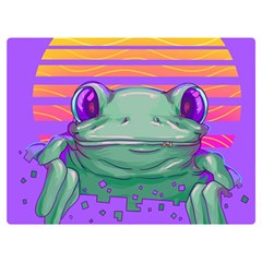 Frog Animal Sun Amphibian Figure Digital Art Two Sides Premium Plush Fleece Blanket (extra Small)