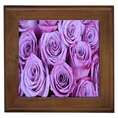 Roses-52 Framed Tile by nateshop