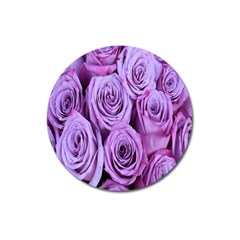 Roses-52 Magnet 3  (round) by nateshop