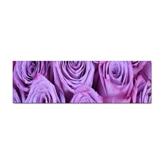 Roses-52 Sticker Bumper (100 Pack)