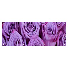 Roses-52 Banner And Sign 8  X 3  by nateshop