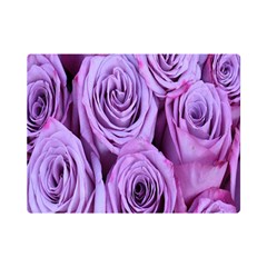 Roses-52 Premium Plush Fleece Blanket (mini) by nateshop