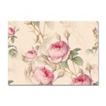 Roses-58 Sticker A4 (100 pack) Front