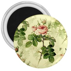 Roses-59 3  Magnets by nateshop