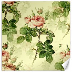 Roses-59 Canvas 20  X 20  by nateshop