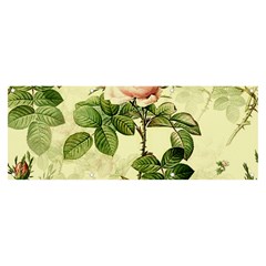 Roses-59 Banner And Sign 8  X 3  by nateshop