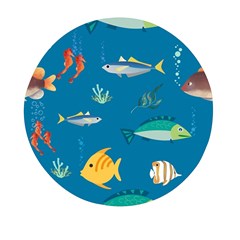 Fish-73 Mini Round Pill Box (pack Of 3) by nateshop