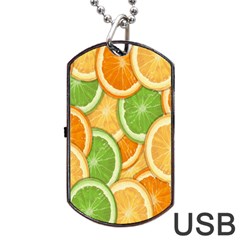 Fruits-orange Dog Tag Usb Flash (one Side) by nateshop