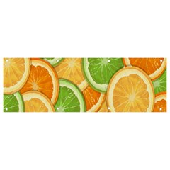 Fruits-orange Banner And Sign 9  X 3  by nateshop