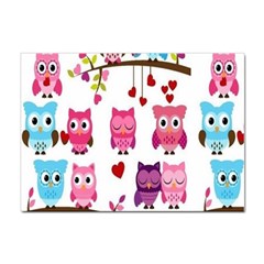 Owl Pattern Sticker A4 (10 Pack) by Salman4z