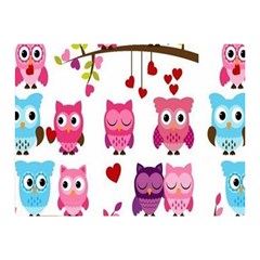 Owl Pattern Two Sides Premium Plush Fleece Blanket (mini) by Salman4z