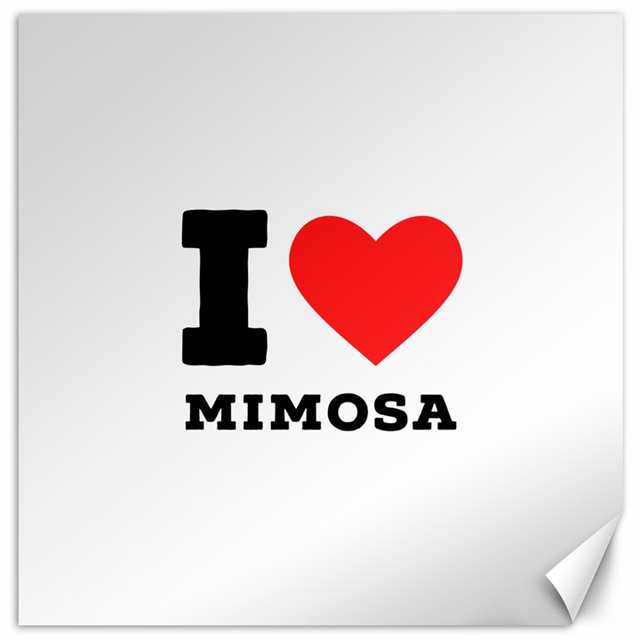 I love mimosa Canvas 20  x 20 