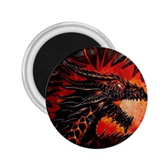 Dragon 2 25  Magnets