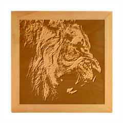 Angry Male Lion Predator Carnivore Wood Photo Frame Cube