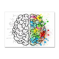 Brain Mind Psychology Idea Drawing Sticker A4 (100 Pack) by Salman4z