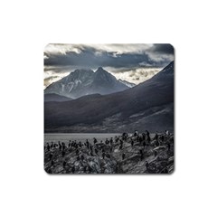 Nature s Symphony: A Portrait Of Ushuaia s Wild Beauty  Square Magnet by dflcprintsclothing