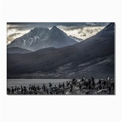 Nature s Symphony: A Portrait Of Ushuaia s Wild Beauty  Postcards 5  X 7  (pkg Of 10) by dflcprintsclothing