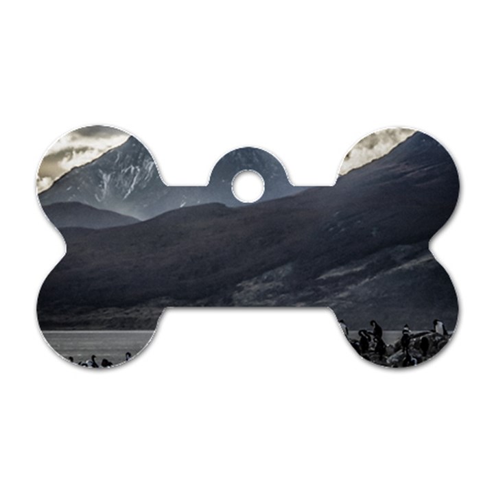 Nature s Symphony: A Portrait of Ushuaia s Wild Beauty  Dog Tag Bone (Two Sides)