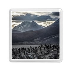 Nature s Symphony: A Portrait Of Ushuaia s Wild Beauty  Memory Card Reader (square) by dflcprintsclothing