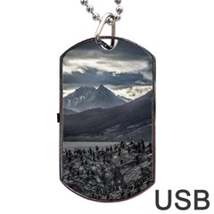 Nature s Symphony: A Portrait Of Ushuaia s Wild Beauty  Dog Tag Usb Flash (two Sides) by dflcprintsclothing