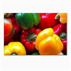 Colorful Capsicum Postcard 4 x 6  (pkg Of 10) by Sparkle