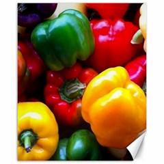 Colorful Capsicum Canvas 16  X 20  by Sparkle