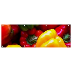 Colorful Capsicum Banner And Sign 9  X 3  by Sparkle