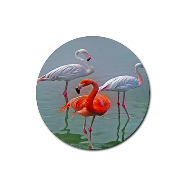 Birds Rubber Round Coaster (4 pack)