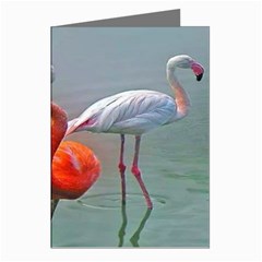 Birds Greeting Cards (pkg Of 8) by Sparkle