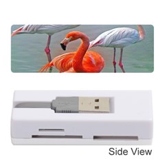 Birds Memory Card Reader (stick)