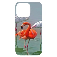 Birds Iphone 14 Pro Max Black Uv Print Case