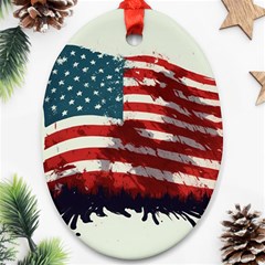 Patriotic Usa United States Flag Old Glory Ornament (oval)