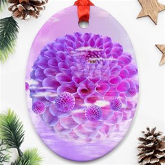 Dahlia Blossom Bloom Dahlias Fall Oval Ornament (two Sides) by danenraven